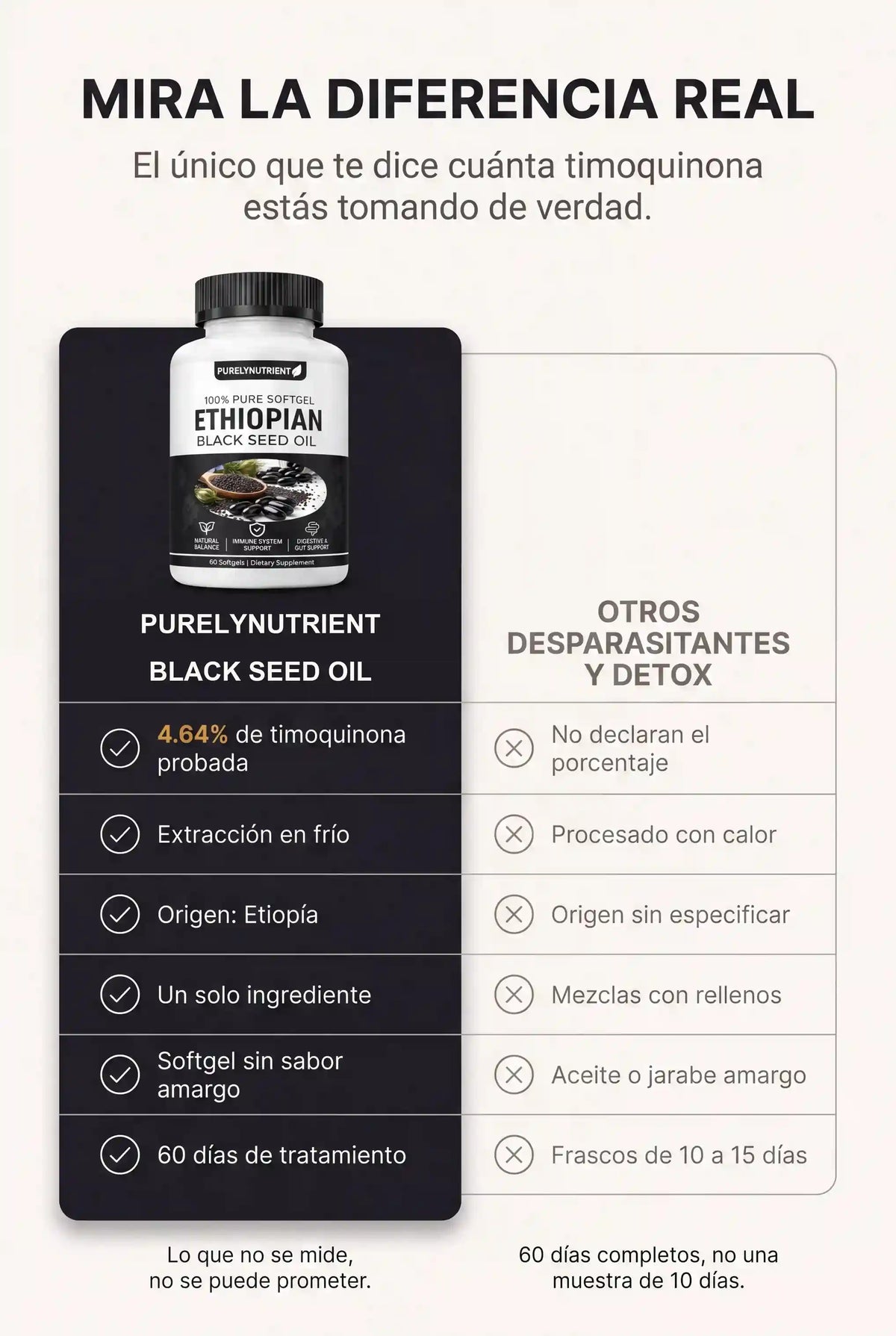zemen-08_comparativa-pn.webp